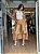 TRENCH COAT DE ORGANZA - Imagem 1
