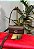 BOLSA TABBY SHOULDER - Imagem 1