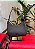 BOLSA HABO CROSSBODY - Imagem 1