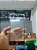 VIDRO MOTO Z POWER SEM OCA - Imagem 1