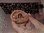 Argola segmentada 3 faces de zirconias titânio - Imagem 2