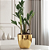 Vaso Dourado com Planta Zamioculca (Planta da Fortuna) - Imagem 7