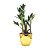 Vaso Dourado com Planta Zamioculca (Planta da Fortuna) - Imagem 2