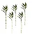 Kit com 10 Hastes de Bambu da Sorte (Grande) - Imagem 1