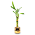 Cachepot Dourado com Bambu da Sorte (5 Hastes) - Imagem 2