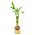 Cachepot Dourado com Bambu da Sorte (5 Hastes) - Imagem 1