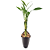 Vaso Canoa Elegance com Bambu da Sorte (6 Hastes) - Imagem 6