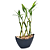 Vaso Canoa Elegance com Bambu da Sorte (6 Hastes) - Imagem 5