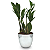 Par de Vasos Prateados com Planta Zamioculca (Planta da Fortuna) - Imagem 2