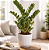 Planta Zamioculca Grande com Cachepot Milan - Imagem 8