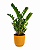 Planta Zamioculca Grande com Cachepot Milan - Imagem 5