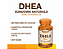 Dhea, 50mg, 60 comprimidos, Sundown - Imagem 3