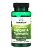 Ginger & Turmeric, Gengibre e Cúrcuma, 300mg, 60 Cápsulas, Swanson - Imagem 1