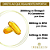 OMEGA 3 TG CANADENSE 2000MG + EPA 660MG + DHA 440MG + VITAMINA E 10MG | 120 SOFTCAPS - Imagem 3