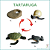 CICLO DE VIDA - Imagem 13