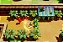 The Legend of Zelda Link's Awakening Switch - Imagem 4