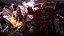 Destiny The Taken King (Edição lendária ) Xbox One Seminovo - Imagem 2