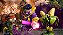 Plants VS Zombies GW2 Xbox One Seminovo - Imagem 4