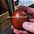 MARANS BLACK COPPER com GARANTIA DE FERTILIDADE! (06 ovos férteis) - Imagem 2