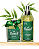 Kit Aromatizador Spray e Varetas - Bamboo - Imagem 2