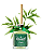 Aromatizador de Varetas - Bamboo - Imagem 2