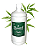 Refil 1L - Bamboo - Imagem 2