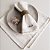 Kit guardanapos linho nude listrado 12 lugares 50 x 50 cm. - Imagem 1