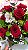 Buque - Ramalhete 06 Rosas Vermelhas - Imagem 2