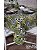 Toalha de Mesa em Jacquard Tropical Folhagem Verde Musgo Geométrico - Imagem 1