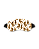 Tapa Olho Tigre - Imagem 1