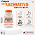 Composto Anti-Ulcerativo (Espinheira Santa 300mg + Quercetina 100mg) - RM Farmacotécnica® (Cápsulas) - Imagem 1