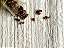 Tapete Kiris KI02 Sala Quarto Rugme - Imagem 2
