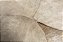 Tapete Linha Organic High 2 2,5x3,50 Modelo Flat - Imagem 8