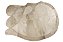 Tapete Linha Organic High 2 2,5x3,50 Modelo Flat - Imagem 1