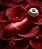 Vibrador Satisfyer Pro 2 | Deborah Secco - Imagem 2