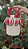 Bag Juicy - Imagem 3
