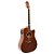 VIOLAO ELETRICO STRINBERG SD200C MGS FOLK FOSCO - Imagem 1