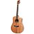 VIOLÃO AÇO STRINBERG FOREST FS4D MGS FOLK ELETRICO - Imagem 1