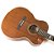VIOLAO STRINBERG GALAXY NYLON MGS ARTISTICO COM EFEITOS - Imagem 2