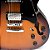 GUITARRA SEMIACÚSTICA WALDMAN CRAFTWOOD GHO100 BLUES JAZZ ROCK - Imagem 4
