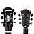 VIOLAO WALDMAN DCE-141 LINHA BLASTONE FINE SB SUNBURST - Imagem 4