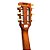 VIOLAO ELÉTRICO STRINBERG AÇO MAHOGANY SY25 MGS FOSCO - Imagem 10