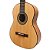 VIOLAO ESTUDANTE ROZINI ACUSTICO FOSCO RX201.AC. FI - Imagem 2