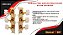 TARRAXA PINO GROSSO PARA VIOLAO NYLON DOURADA CMH 830 3+3 - Imagem 4