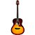 VIOLAO SEIZI HIRO ELETRICO COM BAG BROWN BURST - Imagem 1