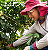 CAFÉ EM GRÃO/MOÍDO IPR 100 - FAZENDA VARIETAL CAFÉS ESPECIAIS - 250g - Imagem 1