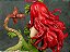 DC COMICS Bishoujo DC UNIVERSE Poison Ivy Returns 1/7 Complete Figure - Imagem 12