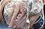 Chobits Chi 1/6 Complete Figure Deluxe Edition - Imagem 7