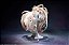 Chobits Chi 1/6 Complete Figure Deluxe Edition - Imagem 1