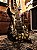 Jackson Soloist SL1 Pile Of Skulls 1996 ( USA) ---------- R$ 21.990,00 - Imagem 6